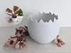 cracked egg planter