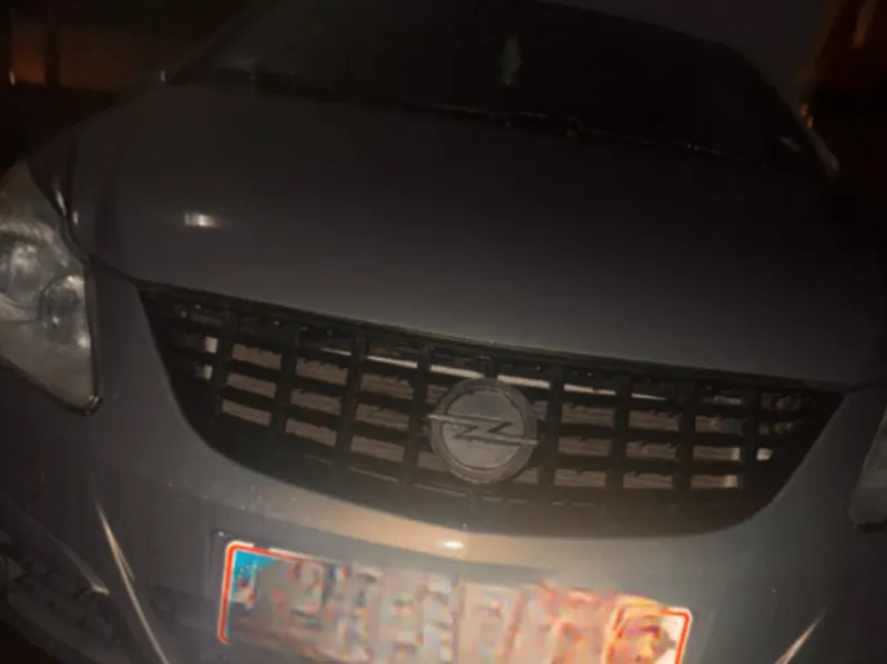 Custom car logo emblem for any grill