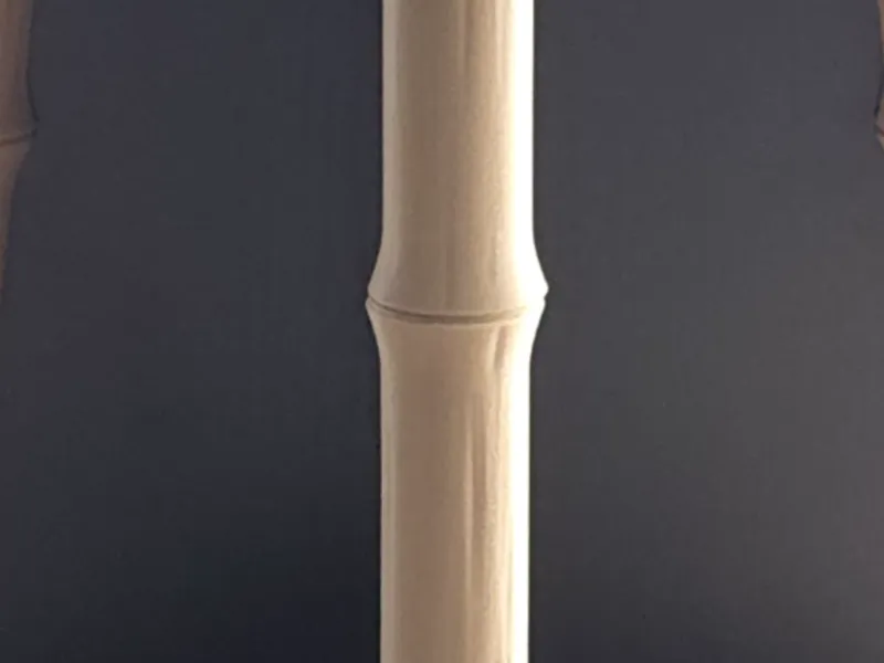 Bambusstab / Bambus