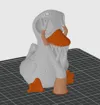 AMS 2plate goose+eye 0.2mm layer, 2 walls, 10% infill
