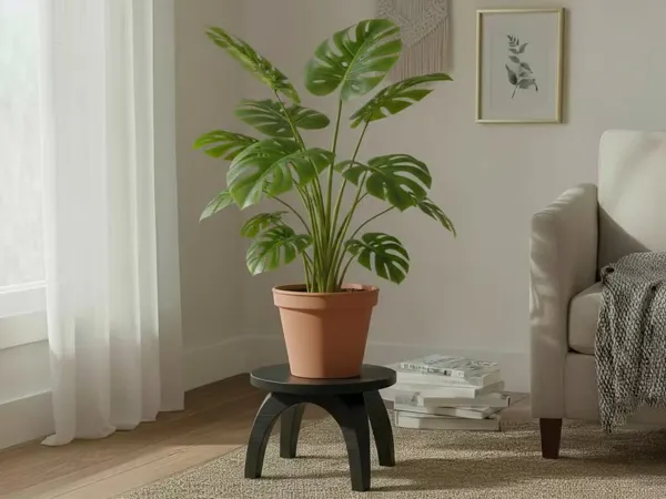 https://makerworld.bblmw.com/makerworld/model/US531e5e2bda696f/design/2025-12-11_e55908c64f1f88.png