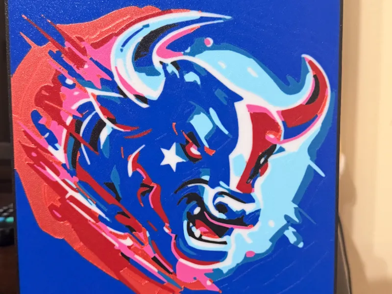 Houston Texans Lightbox
