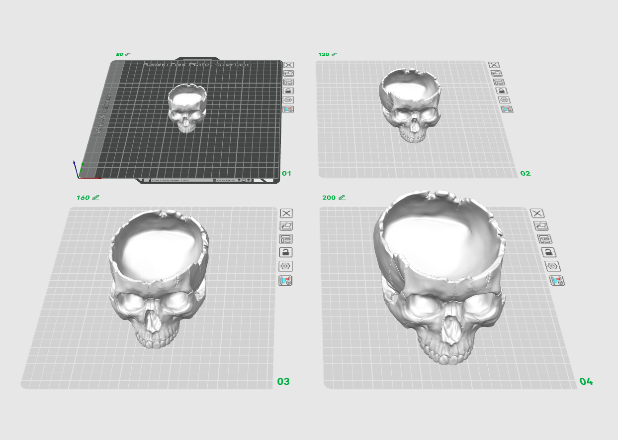 Skull Bowl - 1