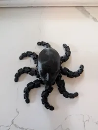 Rocktopus GÉANT — photo 4