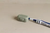 Single Version