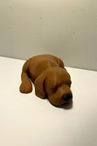 Chien endormi — photo 3