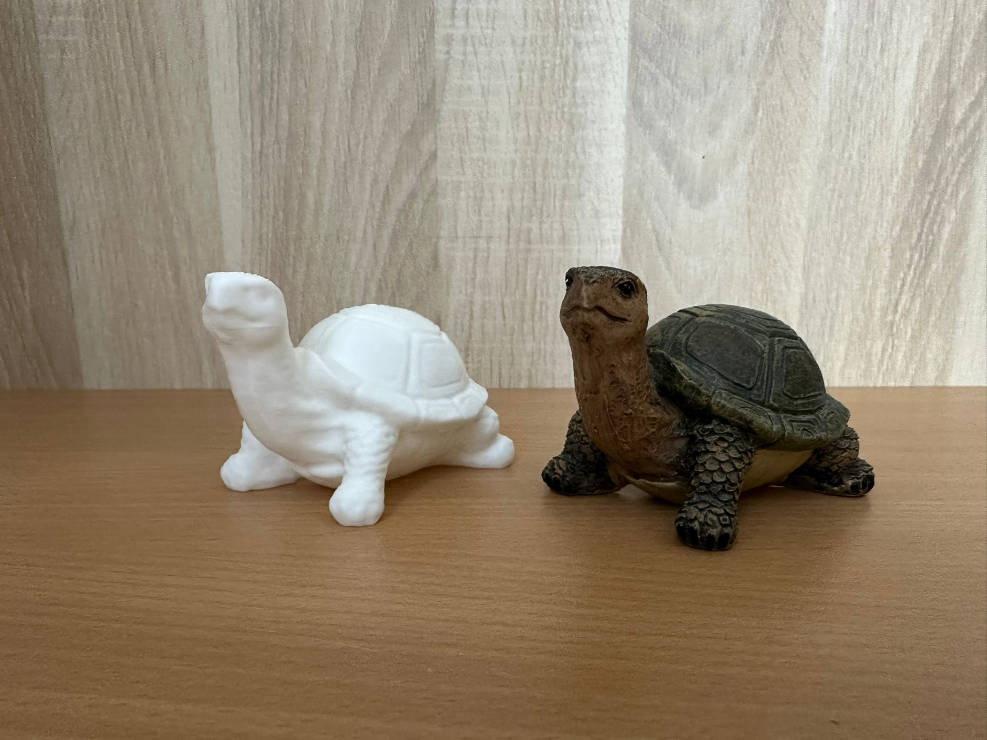 Schildkröte