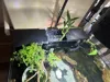 0.24mm layer, 3 walls, 10% infill