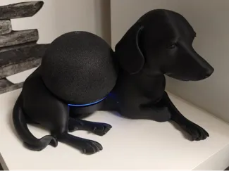 Echo Dot 5 Hund
