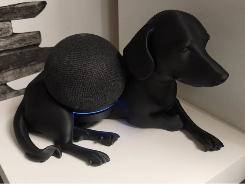 Echo Dot 5 Hund