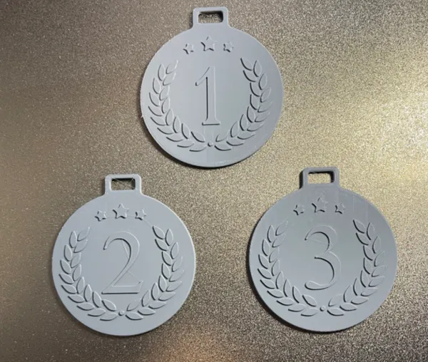 https://makerworld.bblmw.com/makerworld/model/US533493de49408b/design/2024-08-17_d714553364f3b8.jpeg