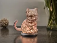 0.16mm layer, 2 walls, 15% infill