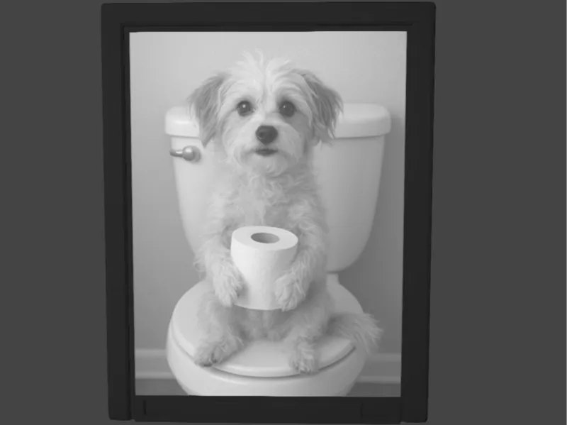 süßer Hund mit Klopapier auf der Toilette