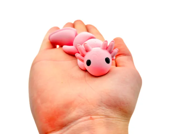 https://makerworld.bblmw.com/makerworld/model/US53439783820d6b/design/819ce6a33eb44b93.png