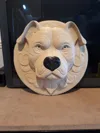 a1 mini profile