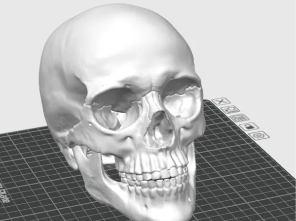 https://makerworld.bblmw.com/makerworld/model/US534aad892c50a2/design/2025-08-06_02b4735aa36cf8.png