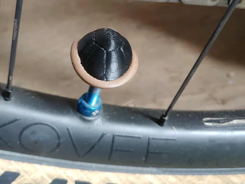 Turtle Shell Valve Cap 