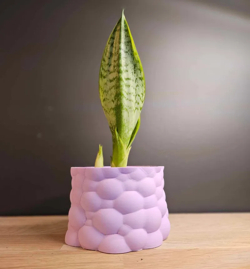 Funky Plant Pot – Designed by PP! 6cm