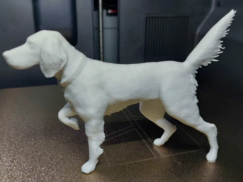 English Setter Figure free commercial 