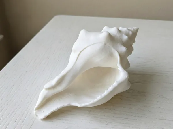 https://makerworld.bblmw.com/makerworld/model/US535eebb475bbe7/design/f0e9804a989c1300.png