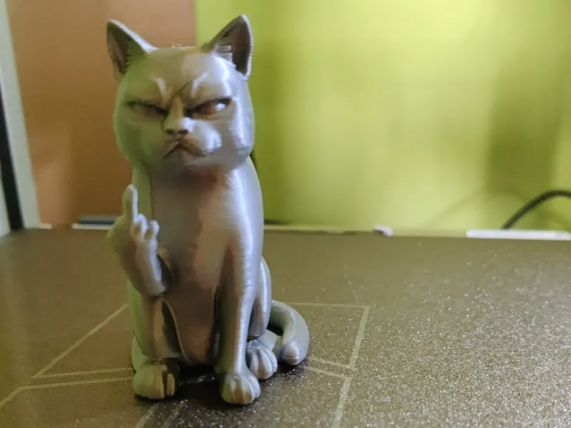 cat