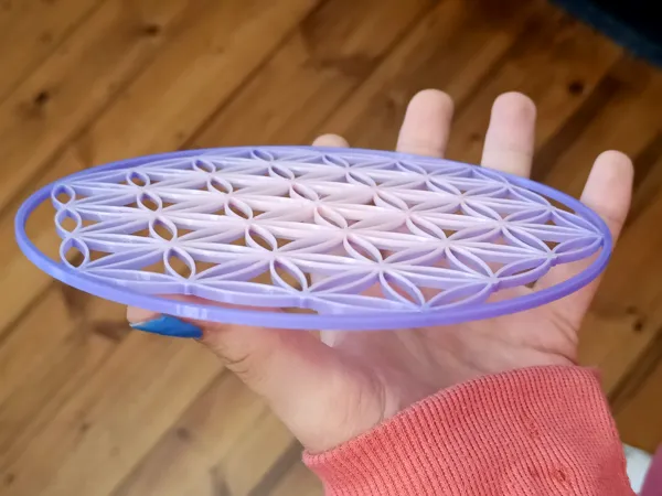 https://makerworld.bblmw.com/makerworld/model/US5374c215745f1e/design/2024-05-17_3a38f0b7674be.jpg