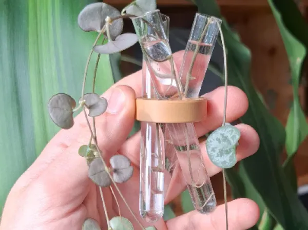 https://makerworld.bblmw.com/makerworld/model/US53790cf0f4e152/design/2025-02-12_f063981199194.jpg