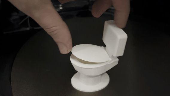 https://makerworld.bblmw.com/makerworld/model/US537be70374dcf8/design/2025-03-01_2f3bddc2d80d.gif