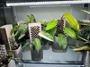 0.28mm layer, 3 walls, 20% infill