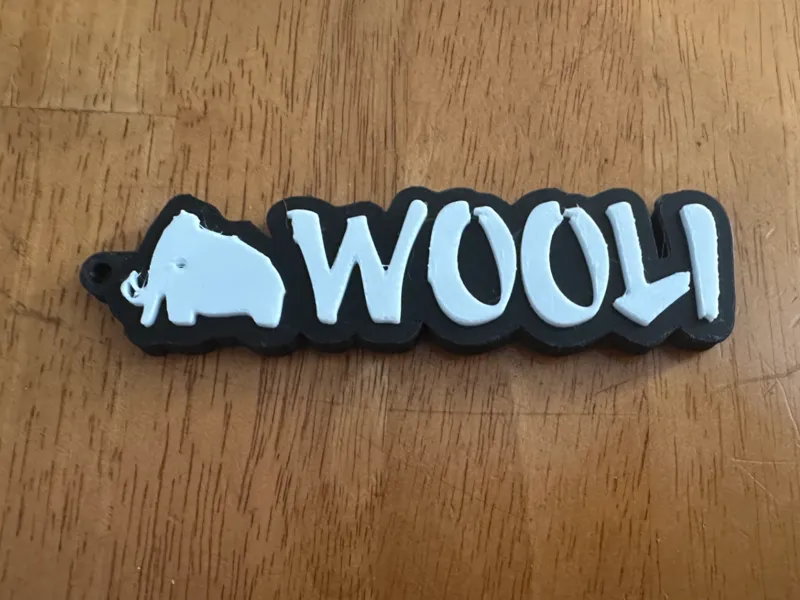 Wooli Keychain