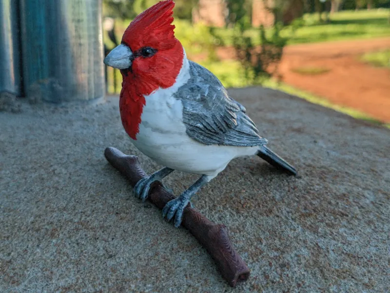 Cardenal (Ave Decorativa) / Cardinal Ornament
