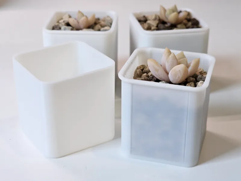 Mini Plant Pot and Cover for Propagations