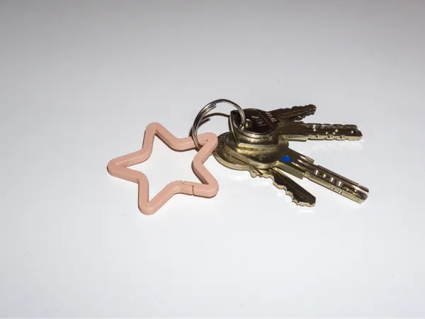 https://makerworld.bblmw.com/makerworld/model/US5382d09c53ca83/design/2025-12-17_3a132d6e577408.jpg