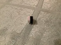 Double Color mini flexi rex