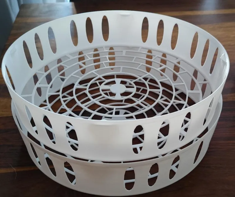 Planting bowl of flower bulbs