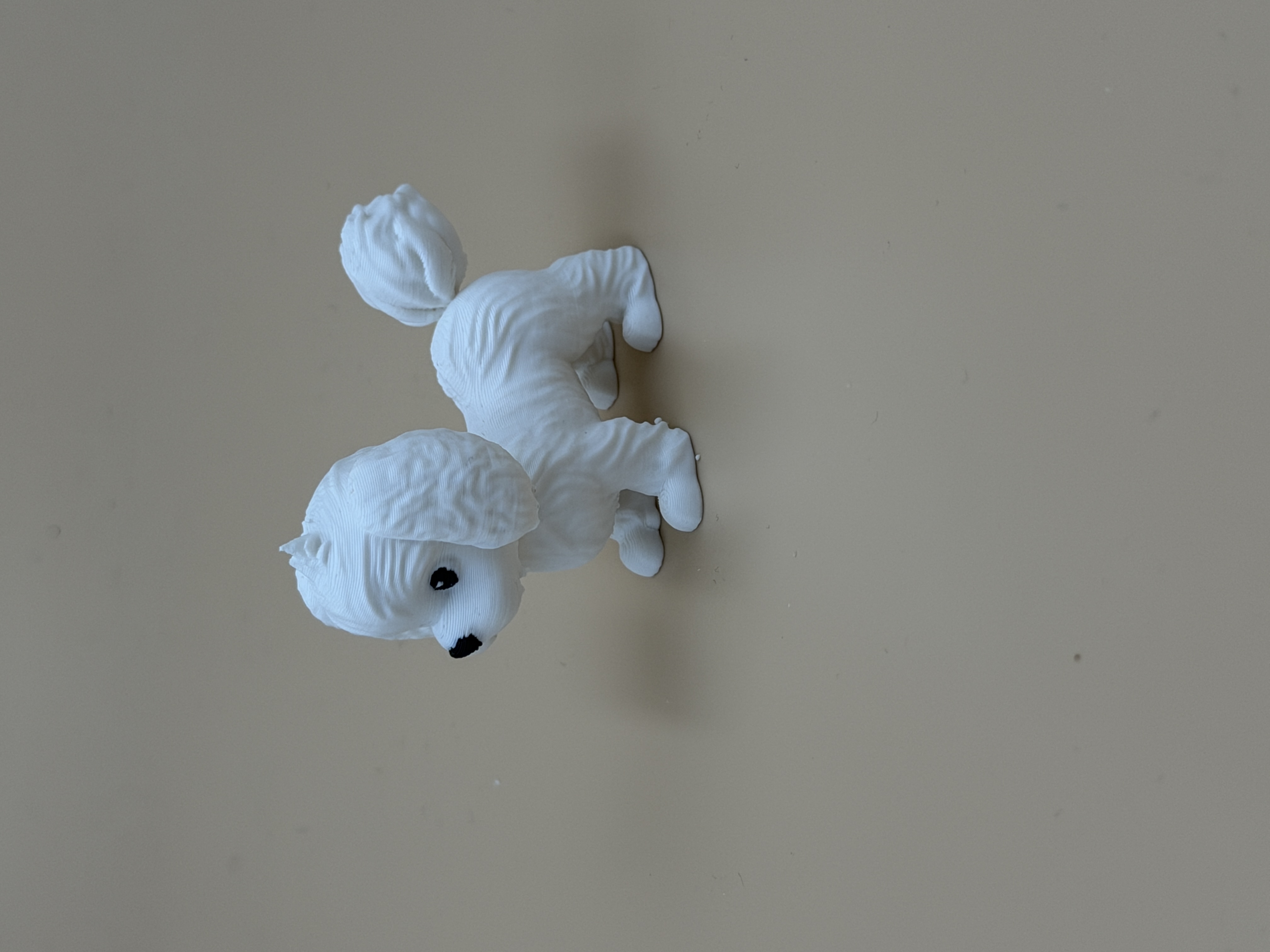 3Dプリント マルチーズ犬 - 無料3Dモデル -MakerWorld