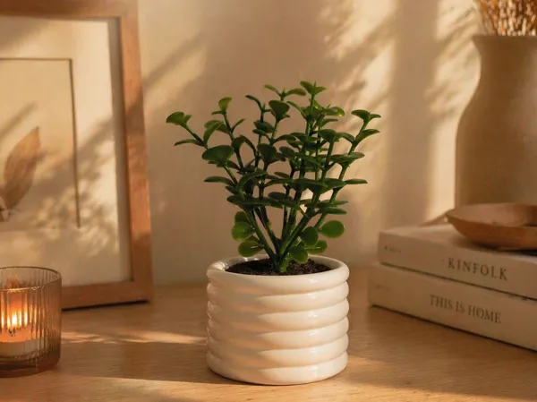 https://makerworld.bblmw.com/makerworld/model/US53897cfc3717a/design/a8c88ada30605ebe.png