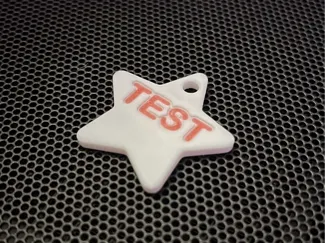 Earring or Star keychain