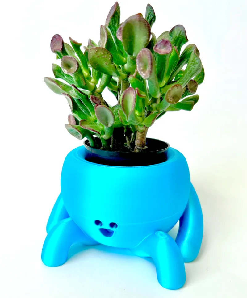 Cheeky Plant Pot
