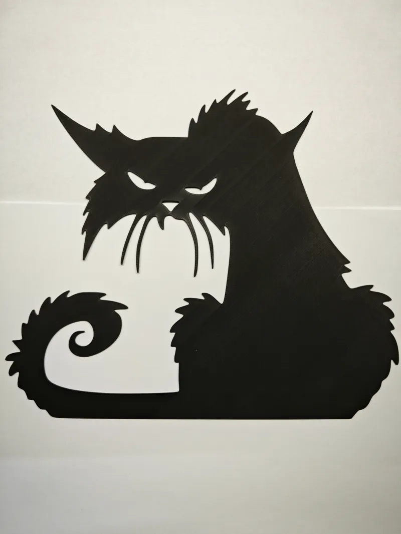 Angry cat