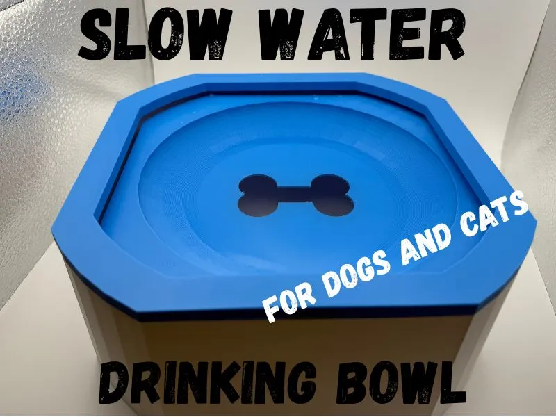 No Spill Slow Water Drinking Bowl for Dogs or Cats