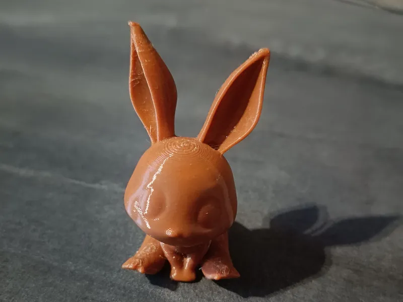 Little bunny