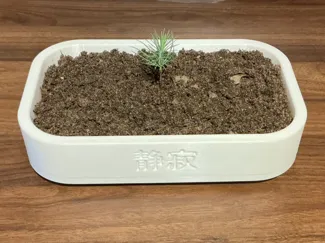 Bonsai pot