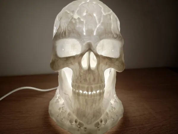 https://makerworld.bblmw.com/makerworld/model/US53a08cd3f891d6/design/2025-08-22_8b0d826f543268.jpg