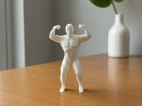0.2mm layer, 3 walls, 10% infill
