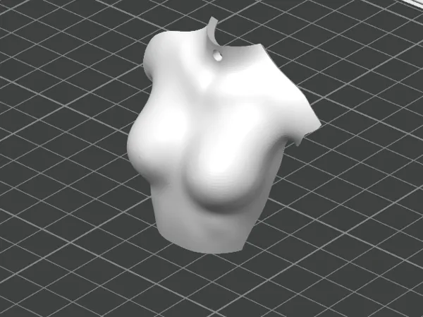 https://makerworld.bblmw.com/makerworld/model/US53a642e30c2d46/design/2024-10-08_1d5c1dc3144ac.png