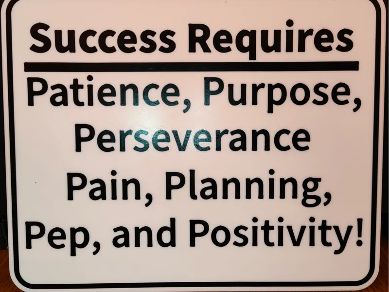 Success Requires 7 P's
