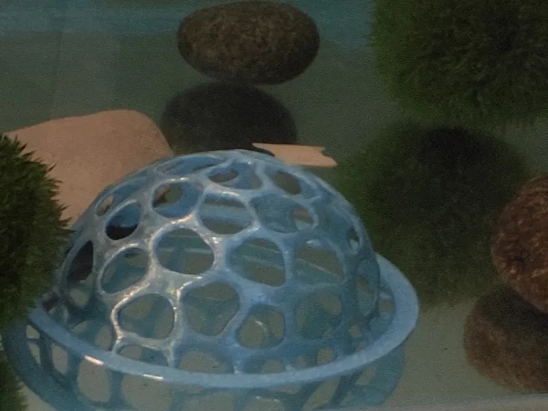 fish hide