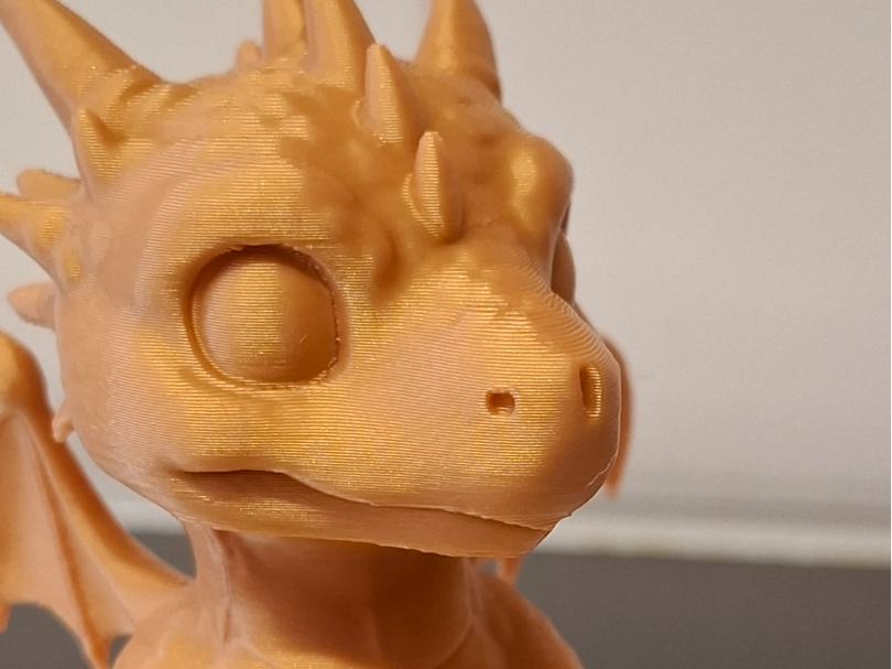 educated baby dragon