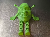 0.16mm layer, 2 walls, 5% infill